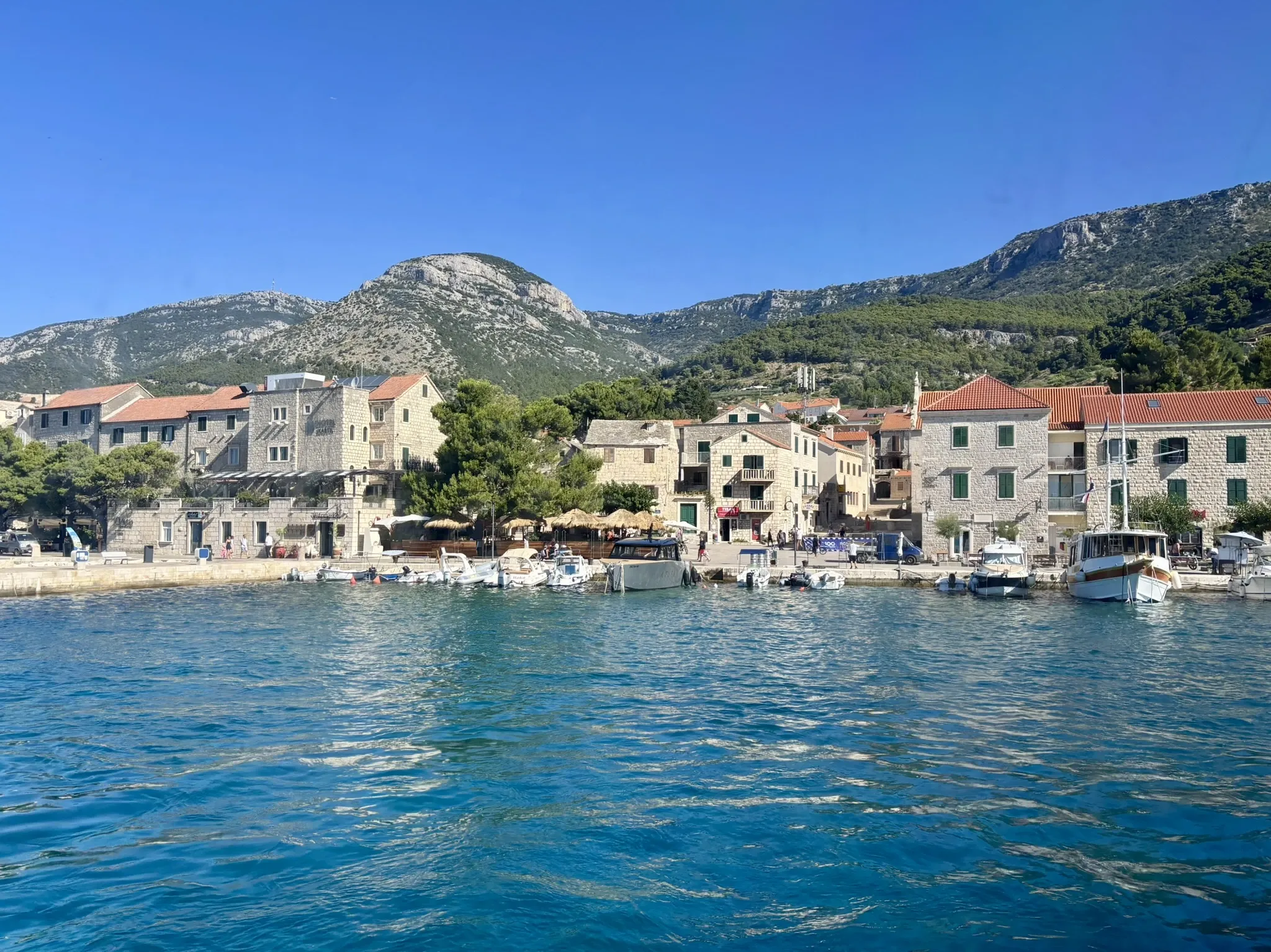 brac.webp