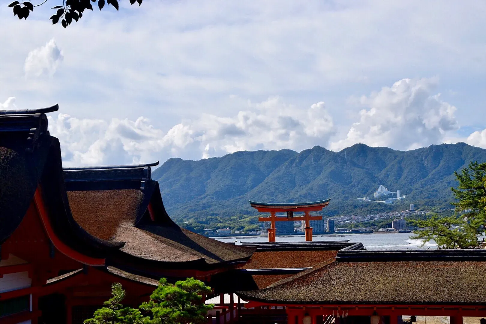 miyajima1.webp