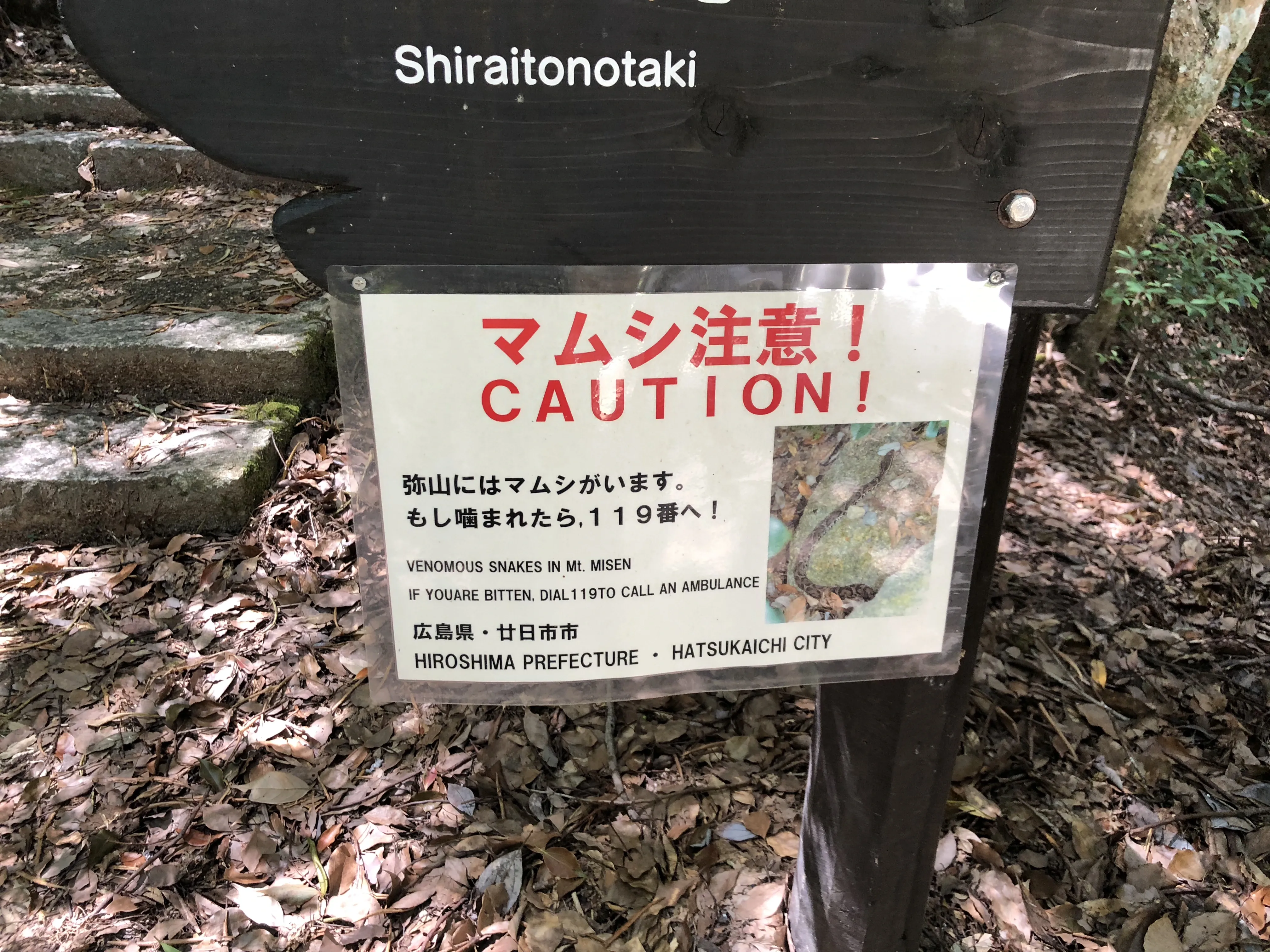 miyajima2.webp
